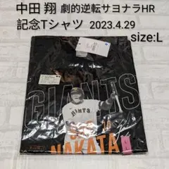 Item thumbnail for item 926a3cb0-e168-482b-bccb-6d4e43c4797d