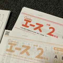 がんばる舎✦エース✦2年生✦一年分 小学生教材エース 2年生 | がんばる舎｜幼児・小学生の通信教材