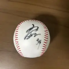 2026年最新】源田サインボールの人気アイテム - メルカリ