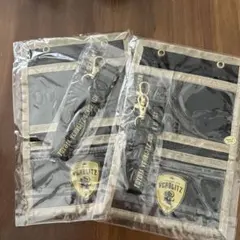 Item thumbnail for item 6083d018-bb83-442b-8a96-99f1ad440826