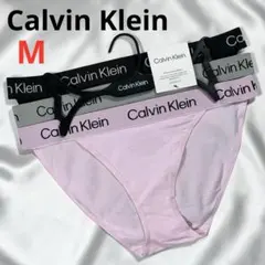 日本未発売 Calvin Klein ショーツ M カルバンクライン 新品 3P