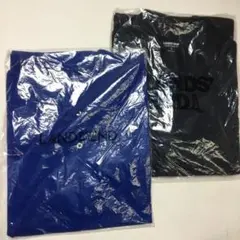 新品 LANDS END ランズエンド 無地 ポロシャツ 2枚セット