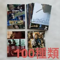 映画チラシ:アジア系(韓国、中国等)100種類セット-62