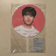 ホシ うちわ イメージピケット follow again japan