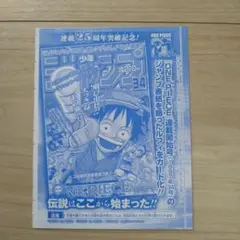 モンキー・D・ルフィ　週刊少年ジャンプとじ込み付録