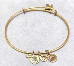 Alex and Ani アレックスアンドアニ　ブレスレット　C2814