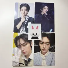 スキズ TOY WORLD リノ