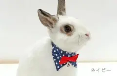 Item thumbnail for item cefc3816-1605-4bec-b4aa-e7b257ecdfd0