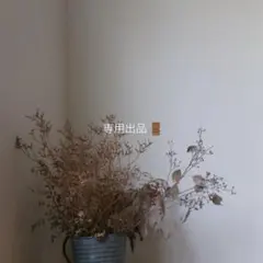 knmnppp サマ 専用