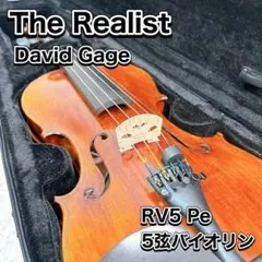 【新品未使用】Realist RLSTCSC サウンドクリップ　ピックアップ 2025年最新】realist ピックアップの人気アイテム - メルカリ