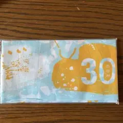 Item thumbnail for item fae0d7ed-3c6d-455f-b972-a0511e57ebe5