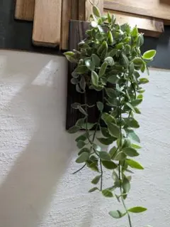 あさ様 リクエスト 2点 まとめ商品