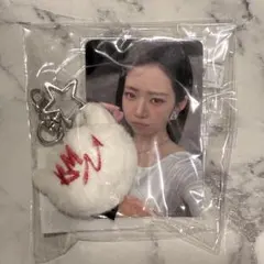 BABYMONSTER 韓国限定 PLUSH KEYRING ローラ - メルカリ