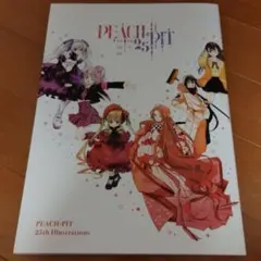 PEACH-PIT 25周年 画集 直筆サイン入り ローゼンメイデンプロット集 PEACH-PIT 25周年 画集 直筆サイン入り ローゼンメイデンプロット集