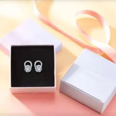 【新品】ジルコニア シルバー ピアス 金属アレルギー対応 プレゼント