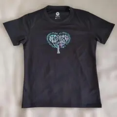 MarmotマーモットのアウトドアTシャツ！Lサイズ！頻度少な目美品！のサムネイル