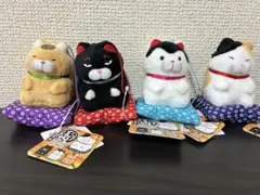 2026年最新】ひげまんじゅう 正座の人気アイテム - メルカリ