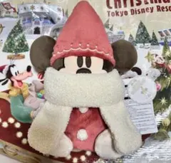 リルリンリン　2025 ショルダーバッグ　ディズニー