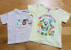 いないいないばぁ Tシャツセット 90〜100cm