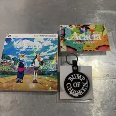 BUMP OF CHICKEN アカシア盤 ポケモン Acacia