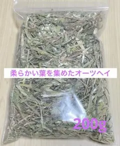 生牧草農薬不使用！オーツヘイ✨ネコポス箱込み500g以上 小動物おやつ