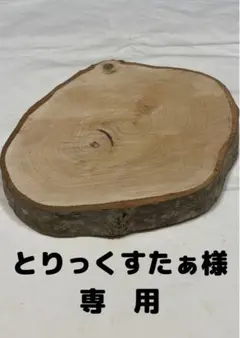 とりっくすたぁ様　専用