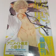 Item thumbnail for item 60846293-4d57-4733-8b39-23f5684fce1e