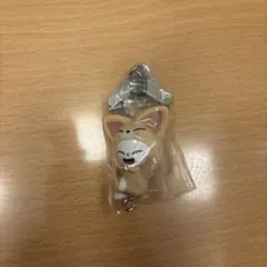 StrayKids スキズ SKZOO つまつな第二弾　Jiniret