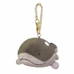 三英貿易　ポケットモンスター マスコット ドオー (マスコット) ぬいぐるみ