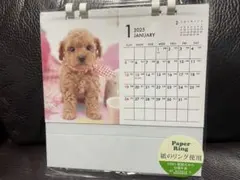 Item thumbnail for item 63493793-0fae-4f40-8e9f-94176a1e2148