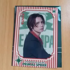 神谷健太　プラスパ大暴年会　フォトカ