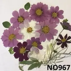 Item thumbnail for item 612900ff-9dd7-4827-9be7-6a4e96611653