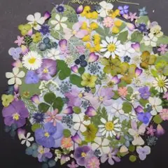 ユーライク様 リクエスト 2点 まとめ商品