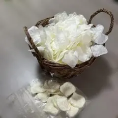 ウェディング　フラワーシャワー