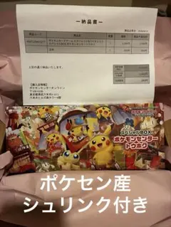 ポケモンカードゲーム スペシャルBOX ポケモンセンタートウホク　シュリンク付き 抽選販売】ポケモンカードゲーム スカーレット＆バイオレット