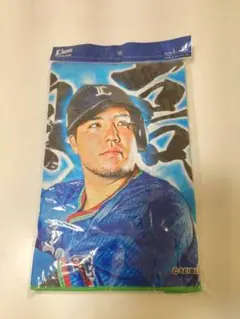 埼玉西武ライオンズ タオル