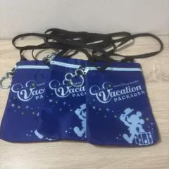 ディズニー　バケーションパッケージ　ミッキーポーチ