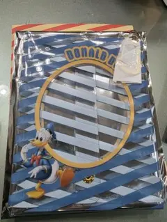 ディズニー　シークレットクリアポーチ　ドナルド