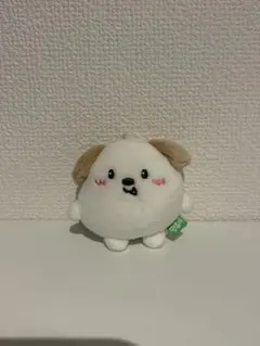 RIIZE ウォンビン ミニ ドール キーリング トニャンドク - メルカリ