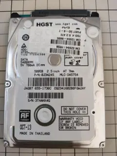 APPLE HDD SATA 500GB