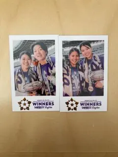 2026年最新】サンフレッチェ広島レジーナの人気アイテム - メルカリ