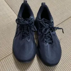 Item thumbnail for item f01aa1ab-a98e-4c98-b3a2-3e603a0c0aed