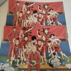 劇場版 ハイキュー!! ごみ捨て場の決戦　入場者特典 ⅹ2