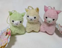 AMUSE 알파카소 마카롱 마스코트 3개 세트 미사용