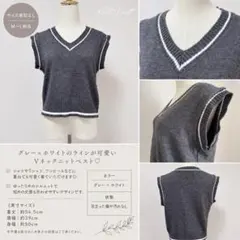 Vネック ニットベスト ライン プレッピー スクール風　韓国風　グレー　M L