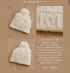 【Darich】ダーリッチ　9周年ノベルティ　DDロゴポンポンビーニー　ニット帽