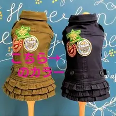 Item thumbnail for item ea8e71f1-b063-4d52-985e-4bf4f2bdcc48