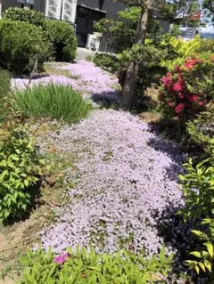 あっきー様 リクエスト 3点 まとめ商品