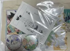 冨樫義博「HUNTER×HUNTER ハンターハンター」ココ・ルー セル画＋動画