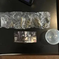 Item thumbnail for item 03199528-683f-49ed-8949-3e3e7e6775d3